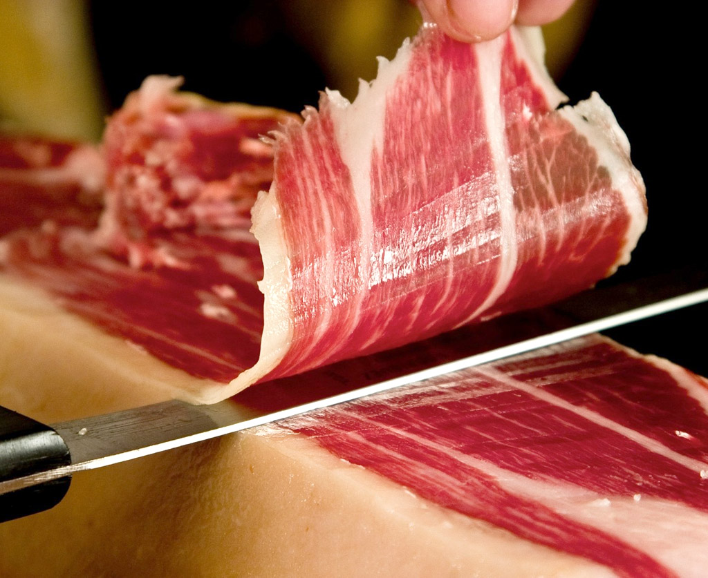 Descubre nuestros productos