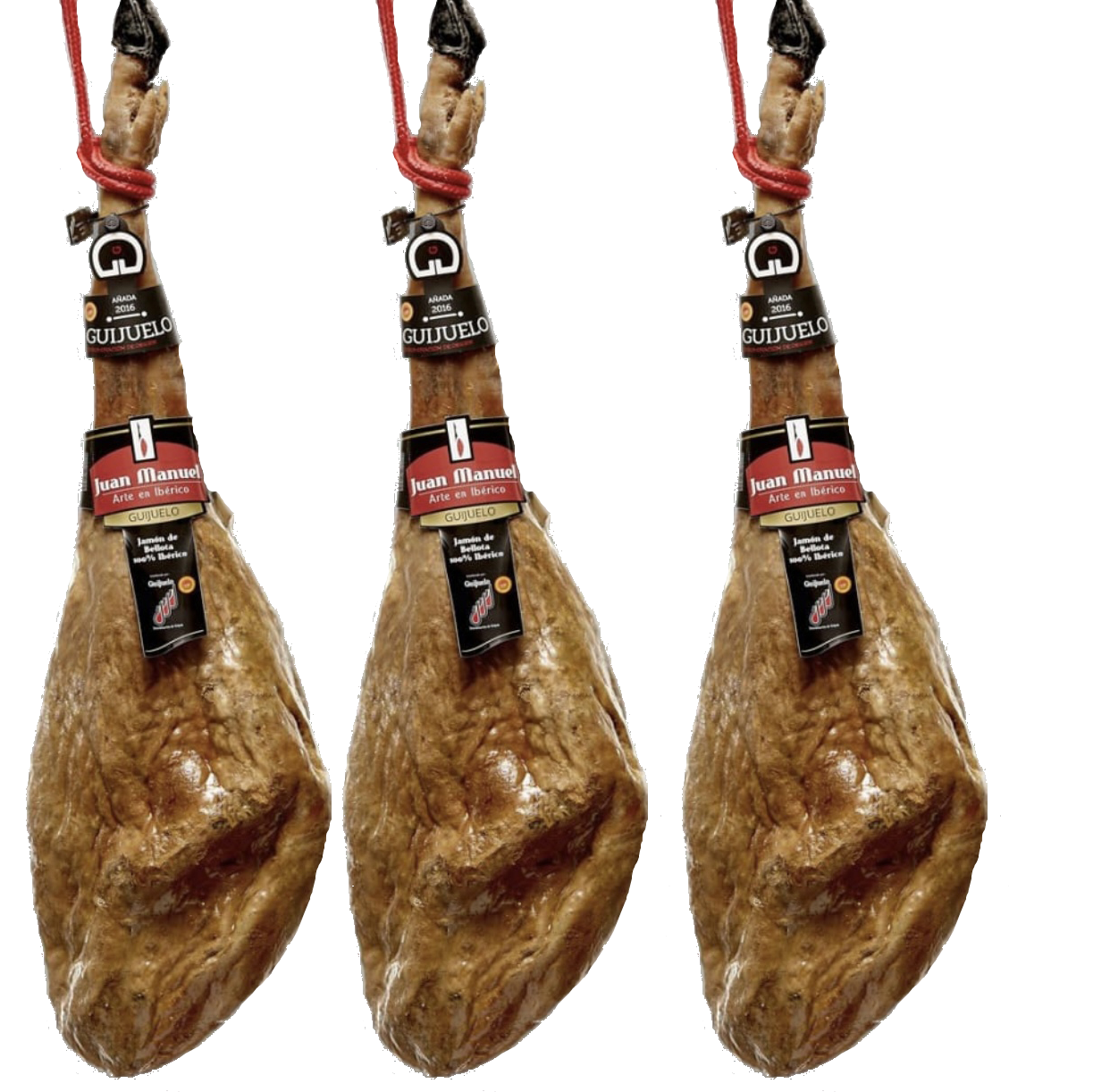 oie_transparent (2)DS